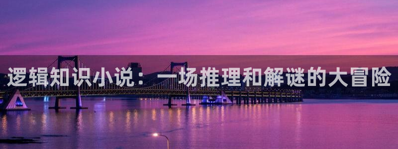 书包网小说免费下载：逻辑知识小说：一场推理和解谜的大冒险